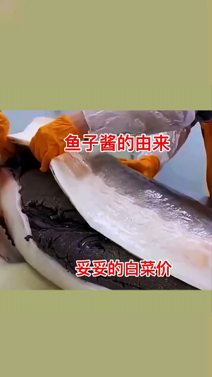 鱼子酱的由来,好吃又便宜