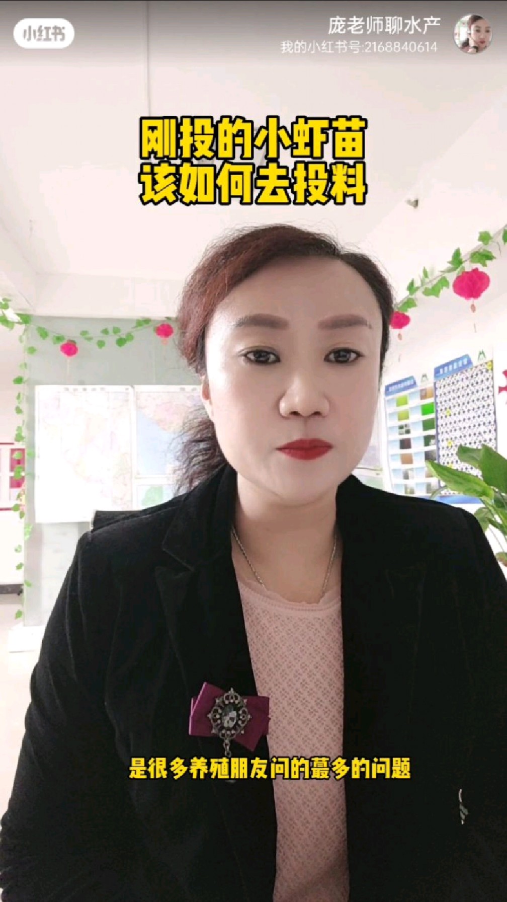 刚投的小虾苗,该如何去投料?