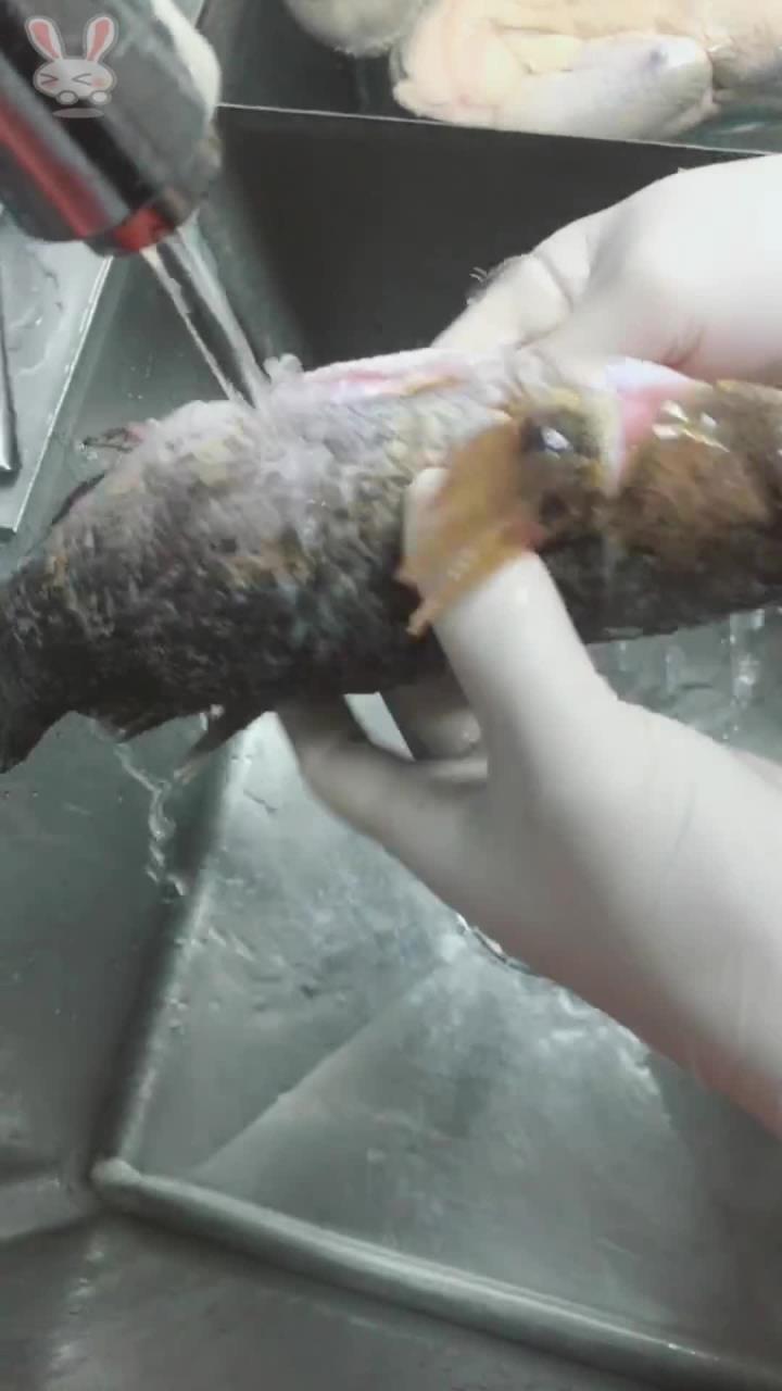 腊肠蒸笋壳鱼,我走不寻常路。腊肠的香味融合在一起
