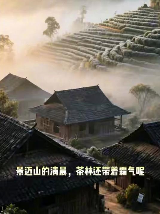 普洱千年古寨烤茶记｜围着火塘听百岁老人讲述茶马往事