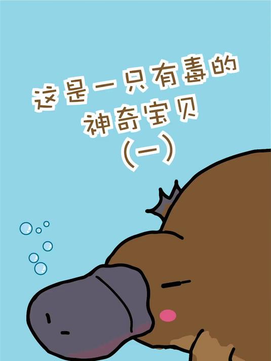 鸭嘴兽有一张胶皮嘴！