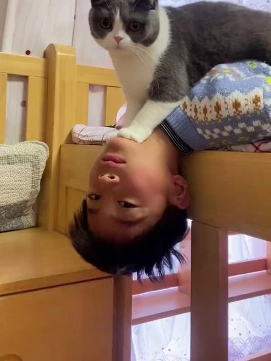 全网最粘人的猫咪泡芙,无论睡觉还是写作业,连上厕所也要粘着