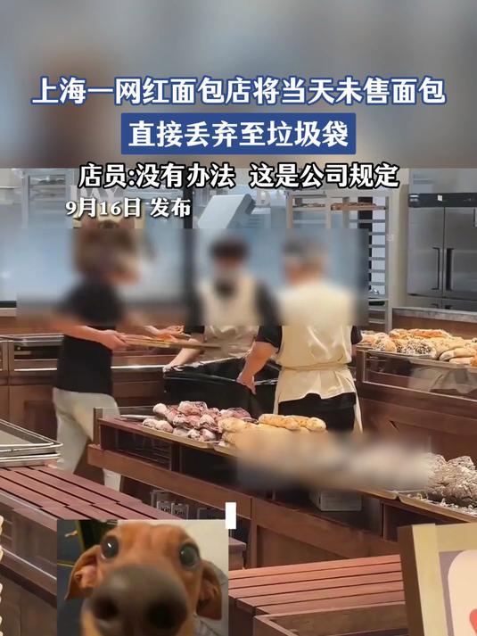上海一网红面包店将当天未售面包,直接丢弃至垃圾袋,公司规定
