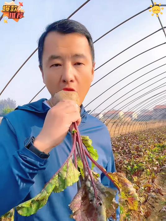 谁懂啊,红菜头对女生特别友好