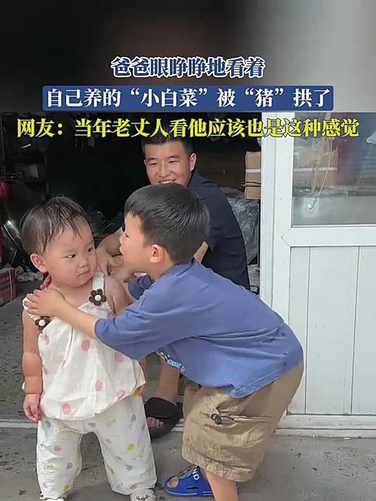爸爸眼睁睁地看着,自己养的“小白菜”被“猪”拱了