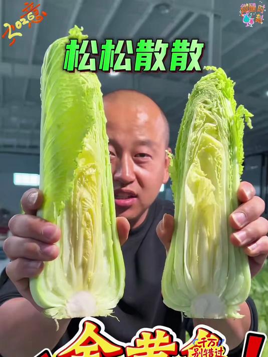 比肉香的菜龙芽菜!现砍现发可比那放了好几天的新鲜太多了