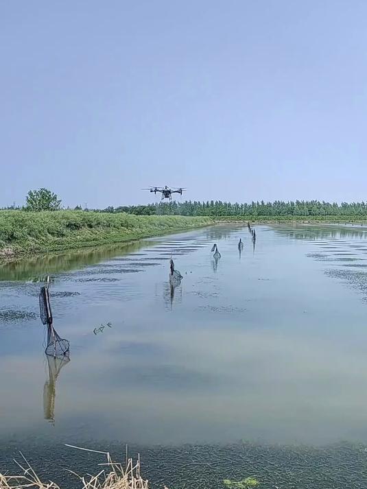 无人机就是好,可投食可增氧,好处多多