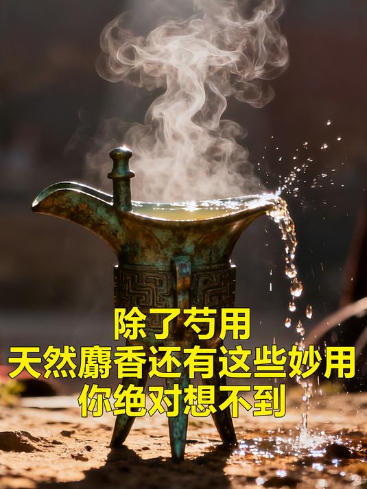 除了芍用 天然麝香还有这些妙用你绝对想不到