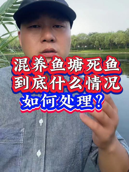 混养鱼塘死鱼，到底什么情况？如何处理