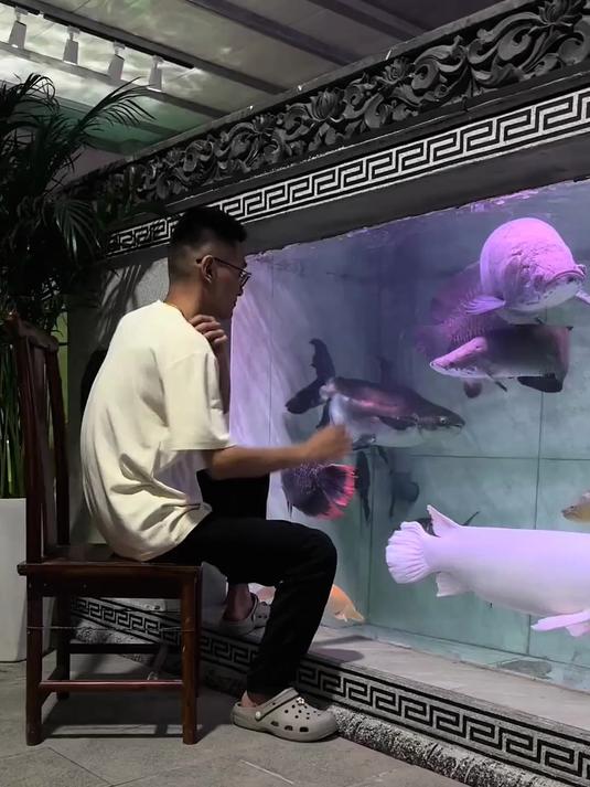 河中巨怪 巨骨舌鱼 鳄雀鳝 哥伦比亚巨暴 白金猛鱼