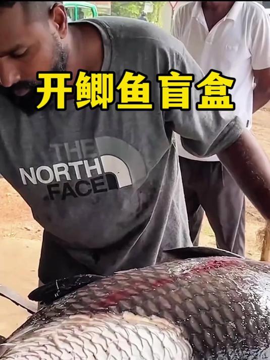 这条恒河大板鲫肚里藏着许多好东西,运气不好就只能开出一堆垃圾