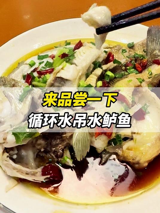 来品尝一下循环水吊水鲈鱼