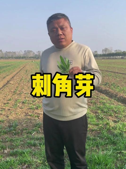 以前的生活有多苦,地里的草都吃了