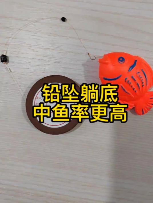 在我们传统钓的过程中为何铅坠躺底中鱼率更高，欢迎高手提出见解