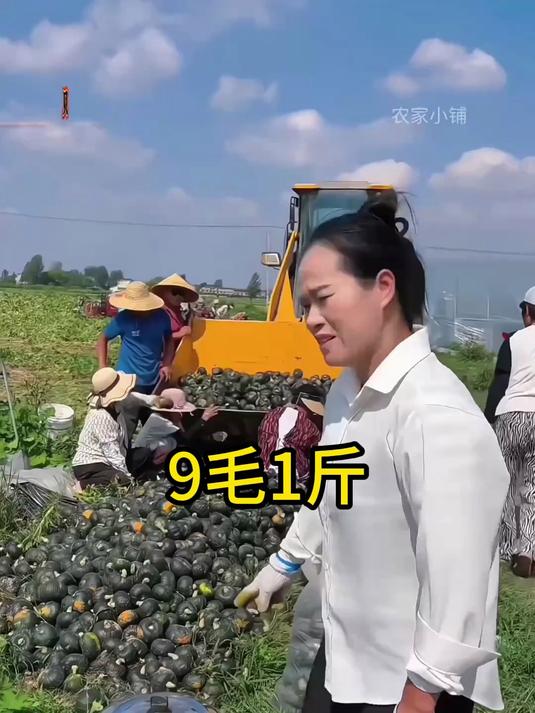 一毛没赚!就想听句粉糯好吃!#贝贝南瓜# #减肥# #减脂# #美食推荐# #应季蔬菜# 