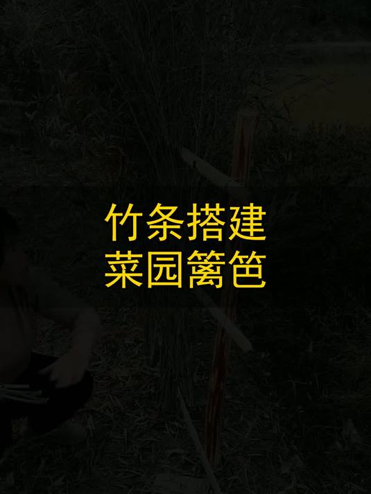竹条搭建菜园篱笆