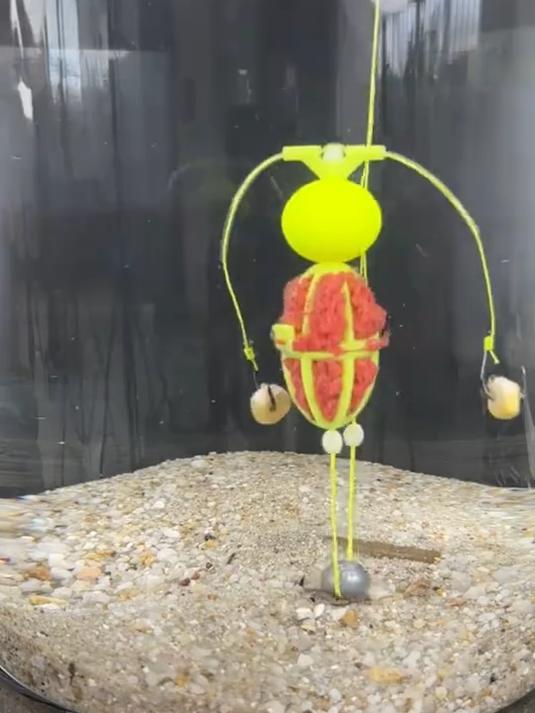 倍特锋反底饵笼,诱鱼利器,钓鱼必备!