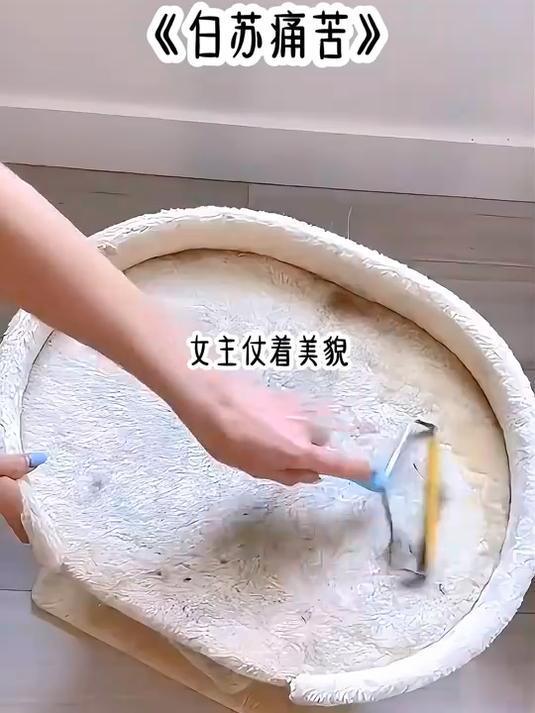 白苏痛苦