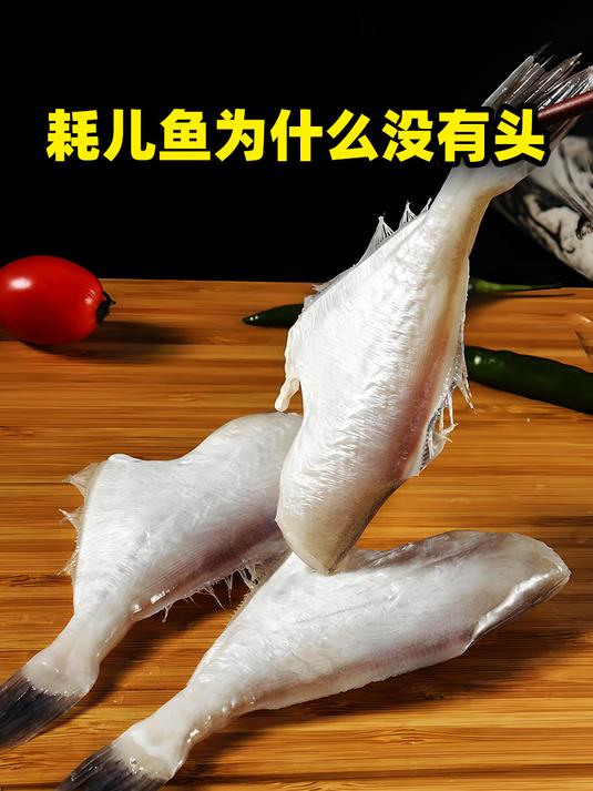 耗儿鱼到底是什么鱼?为什么都没有头?