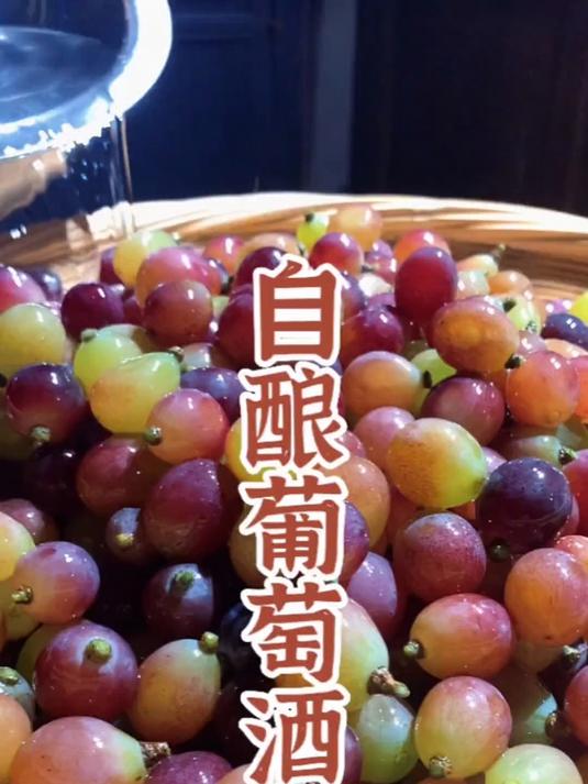 自酿葡萄酒做法分享，口感鲜洁，醇香！