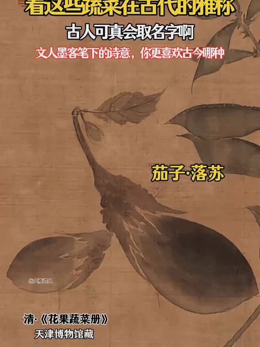 古代对蔬菜的雅称,名字太美了!你更喜欢哪种?