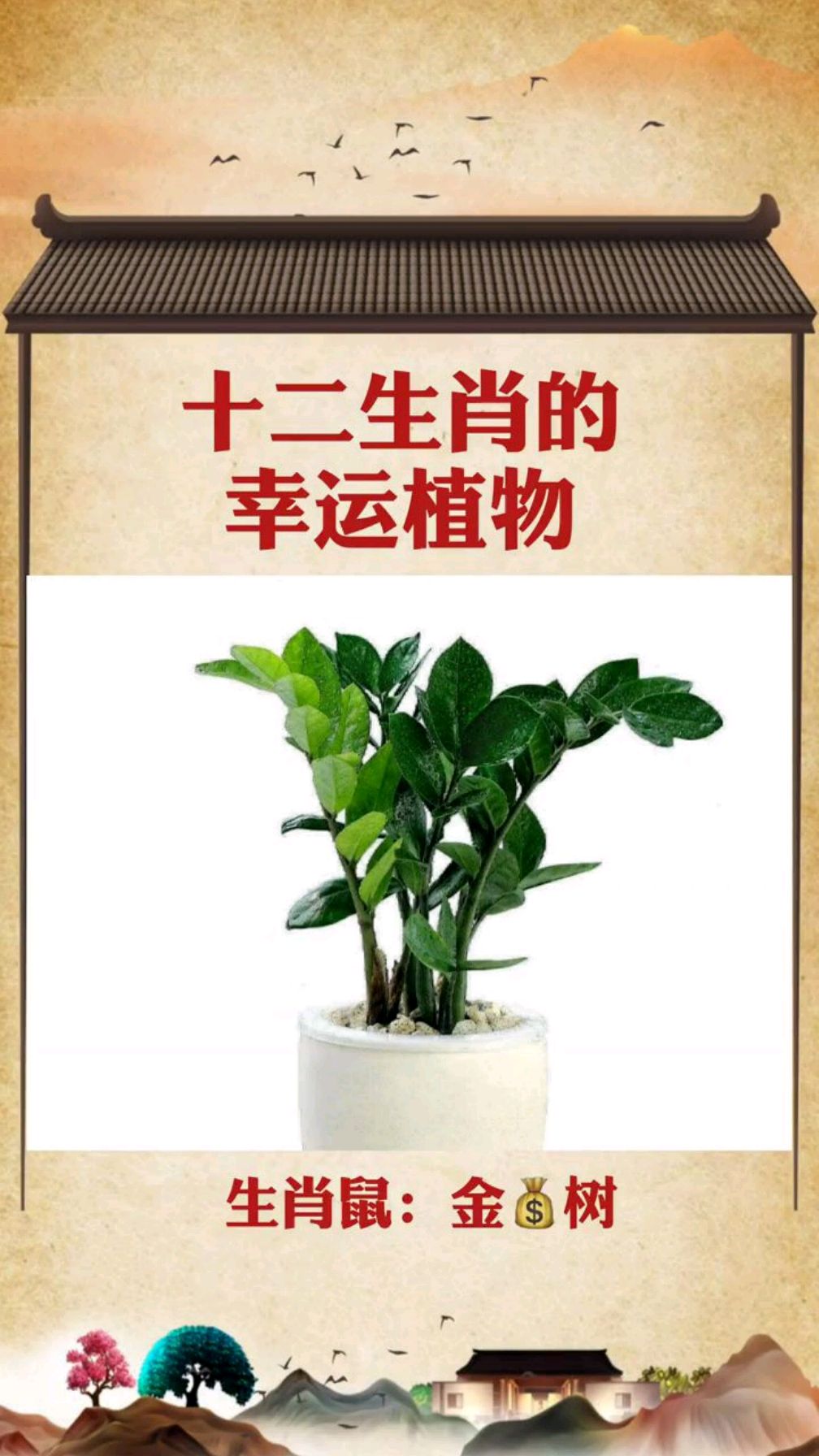 十二生肖的幸运植物快来看看你的幸运植物是什么