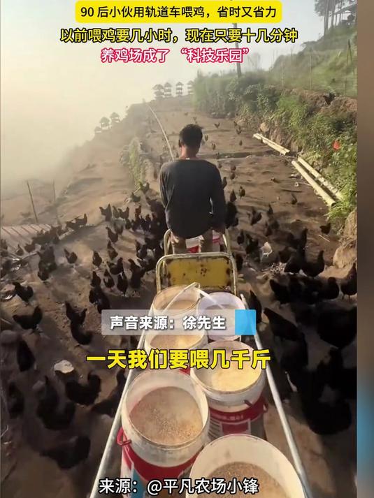 养鸡场成了 “科技乐园”，用轨道车喂鸡，省时又省力