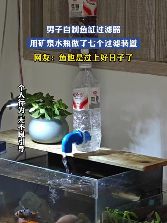 男子自制鱼缸过滤器,用矿泉水瓶做了七个过滤装置,网友:鱼也是过上好日子了