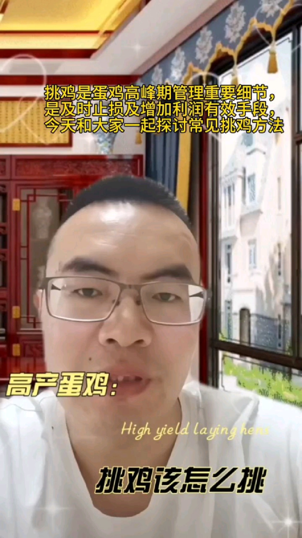如何在蛋鸡产蛋期简单正确挑出寡产蛋鸡和不下蛋的鸡,及时止损