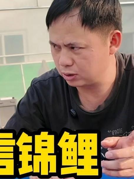 养鲤大师挑选当岁黄猿锦鲤的干货都在这了