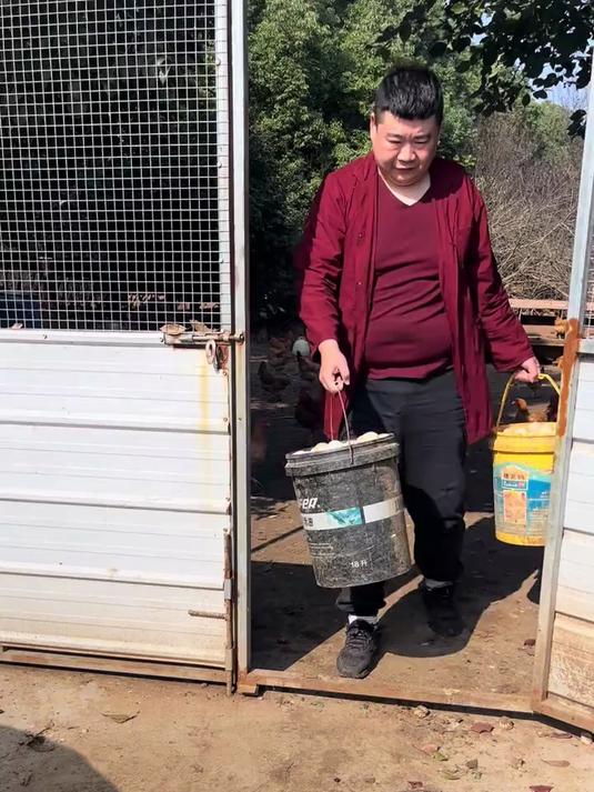 农家散养笨鸡蛋!蛋香醇厚无激素,蛋清紧实,煎炒烹炸都可～