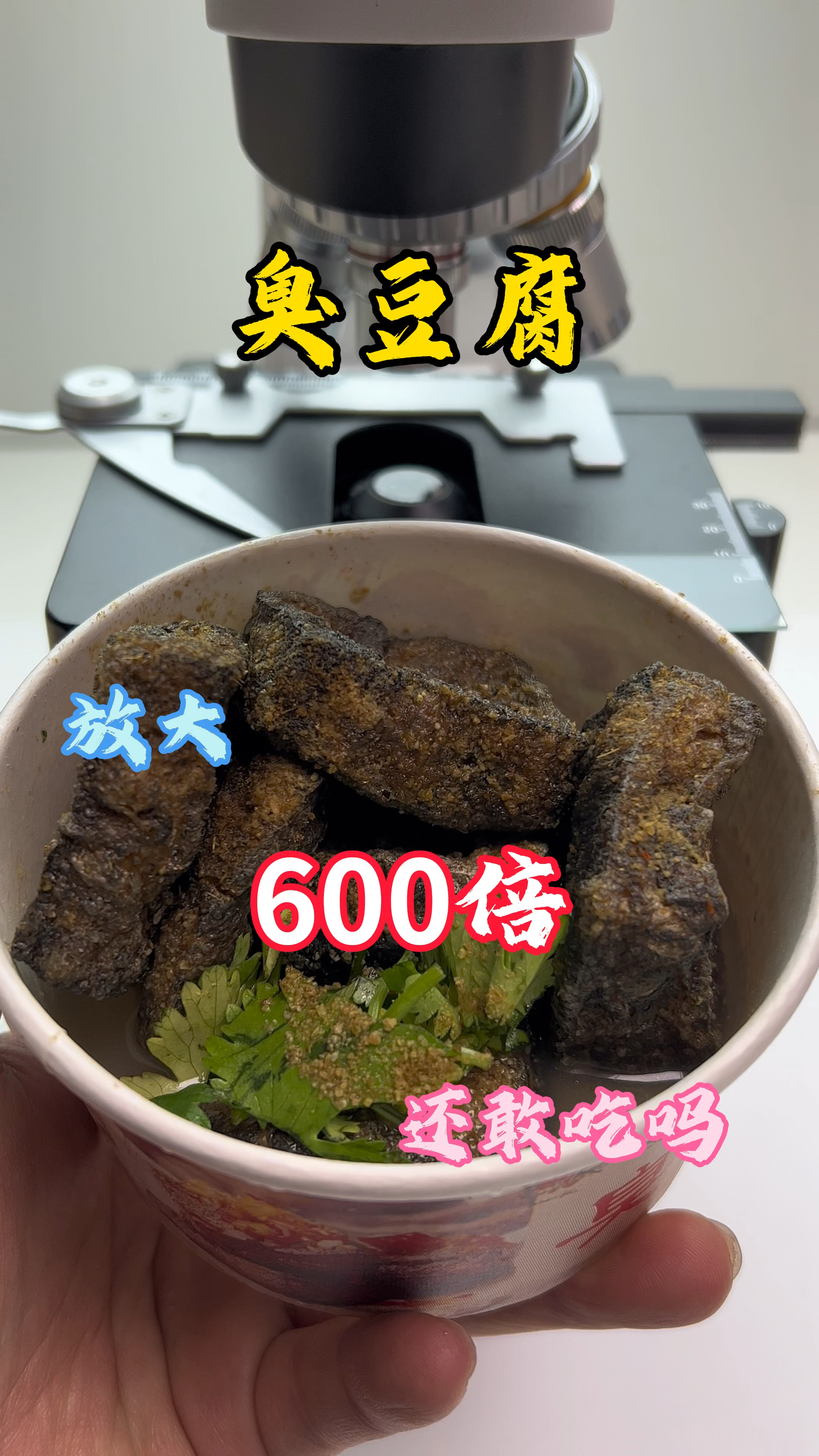 臭豆腐放大600倍还敢吃吗#臭豆腐 #显微镜下的世界 #科普一下 #微观世界