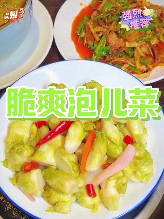 开胃下饭菜—泡儿菜炒肉酸脆爽口喷香滴!