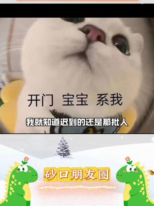 迟到的果然还是那批人