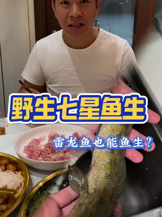 七星鱼也叫雷龙鱼拿来做我的深夜鱼生极品好货