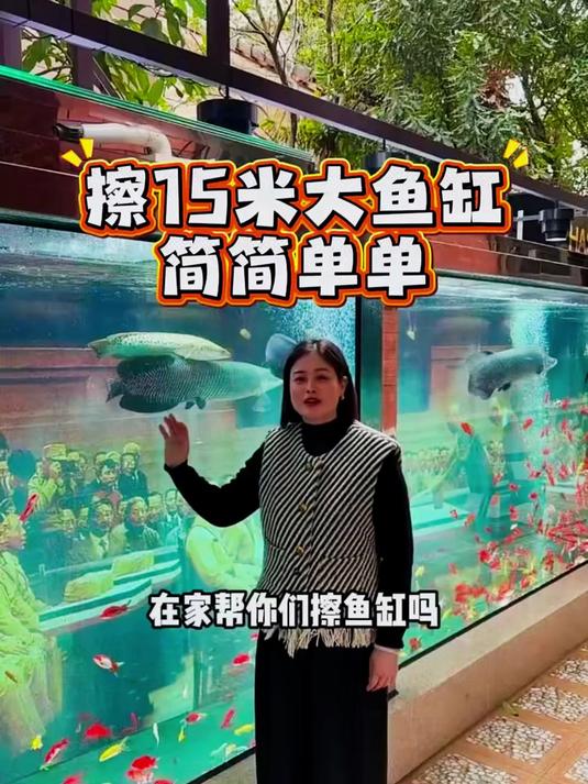 其实清洗15米大鱼缸就是这么简简单单，六嫂来教你