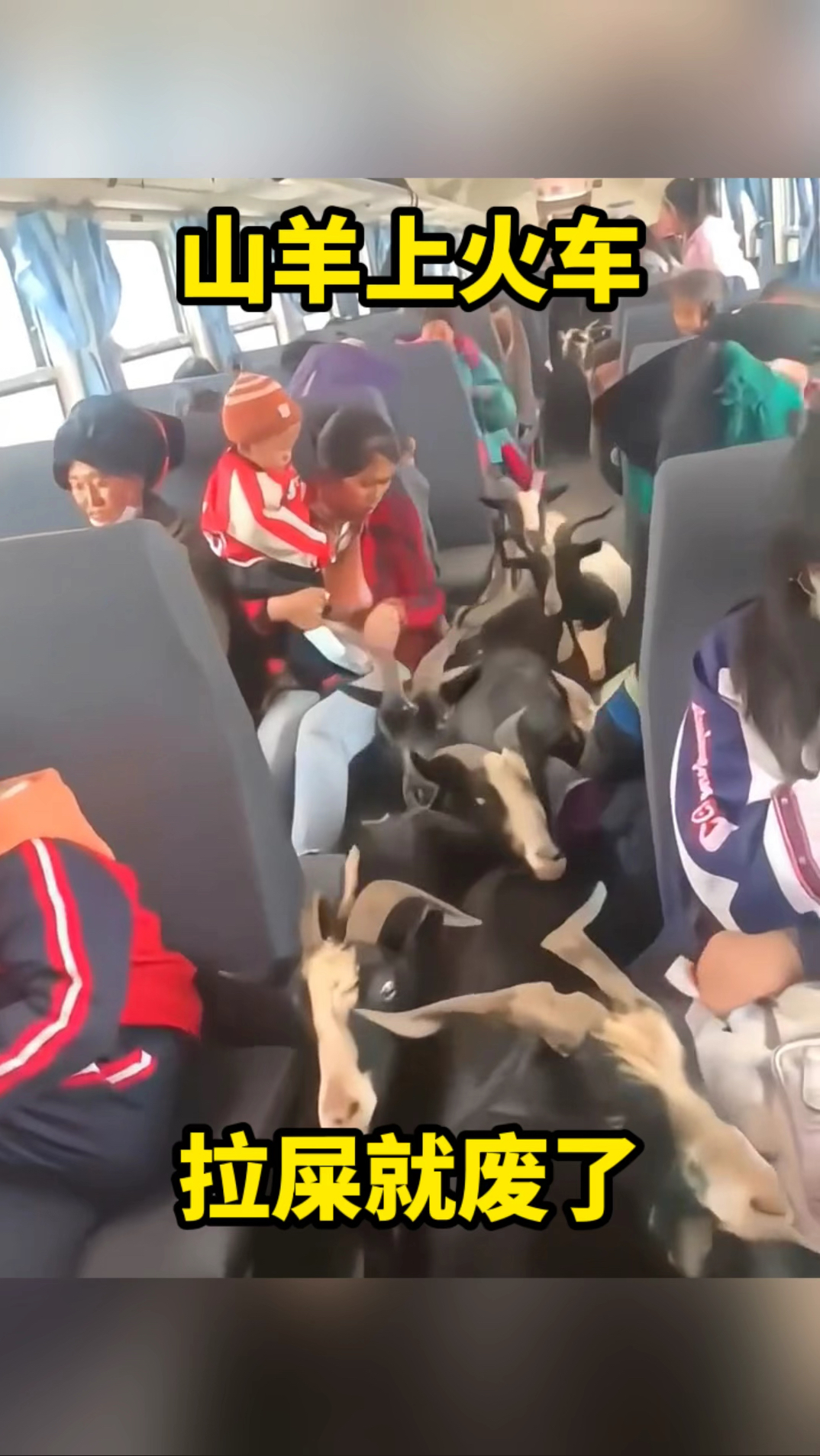 山羊上火车,拉屎就废了