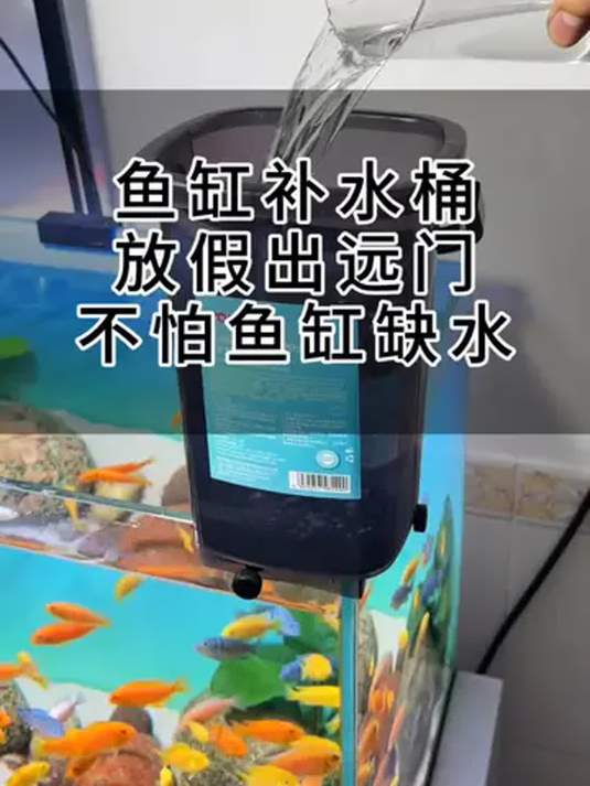 鱼缸自动补水桶超实用 出远门不怕缺水 养鱼必备