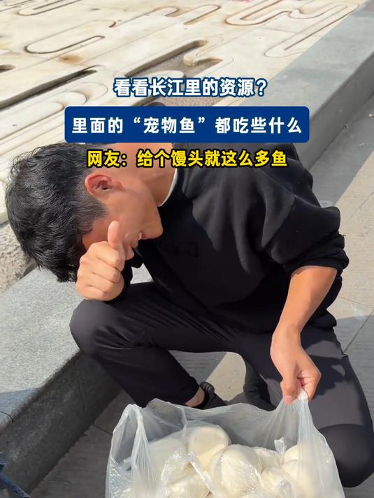 看看长江里的资源,里面的“宠物鱼”都吃些什么?
