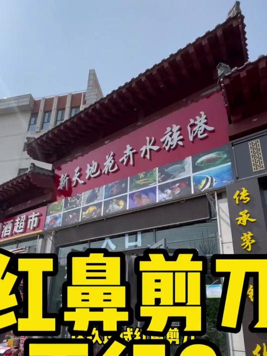 大家说说我是不是红鼻剪刀买少了