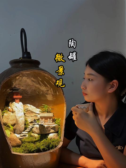 陶罐微景观 我在地里头捡了一个废旧的陶罐
