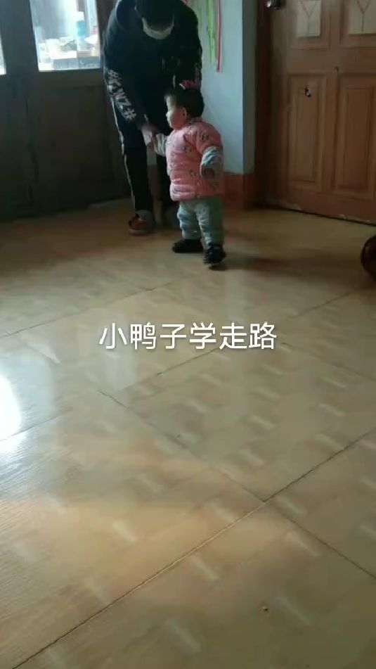 小鸭子学走路
