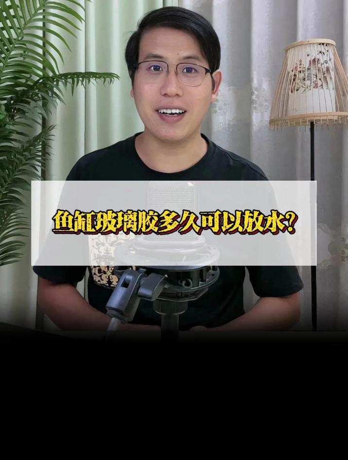 鱼缸玻璃胶多久可以放水?