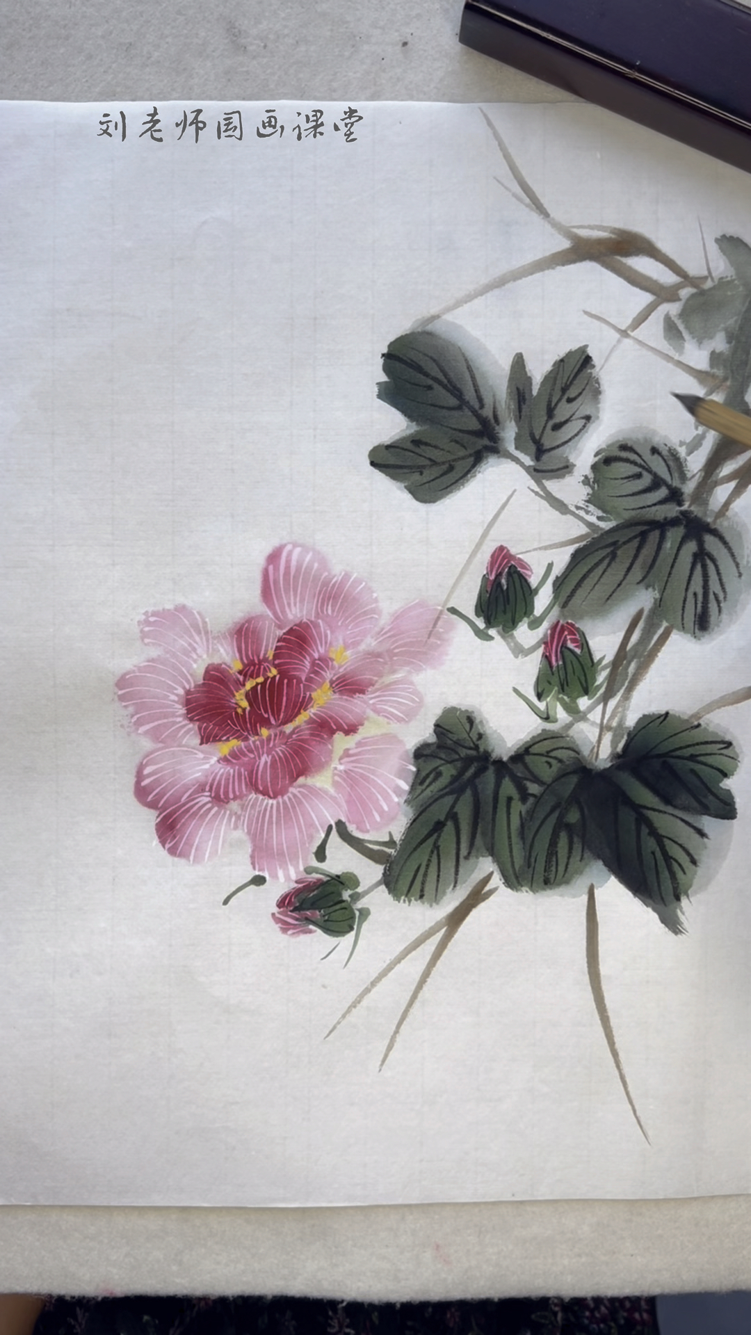 写意芙蓉花的画法