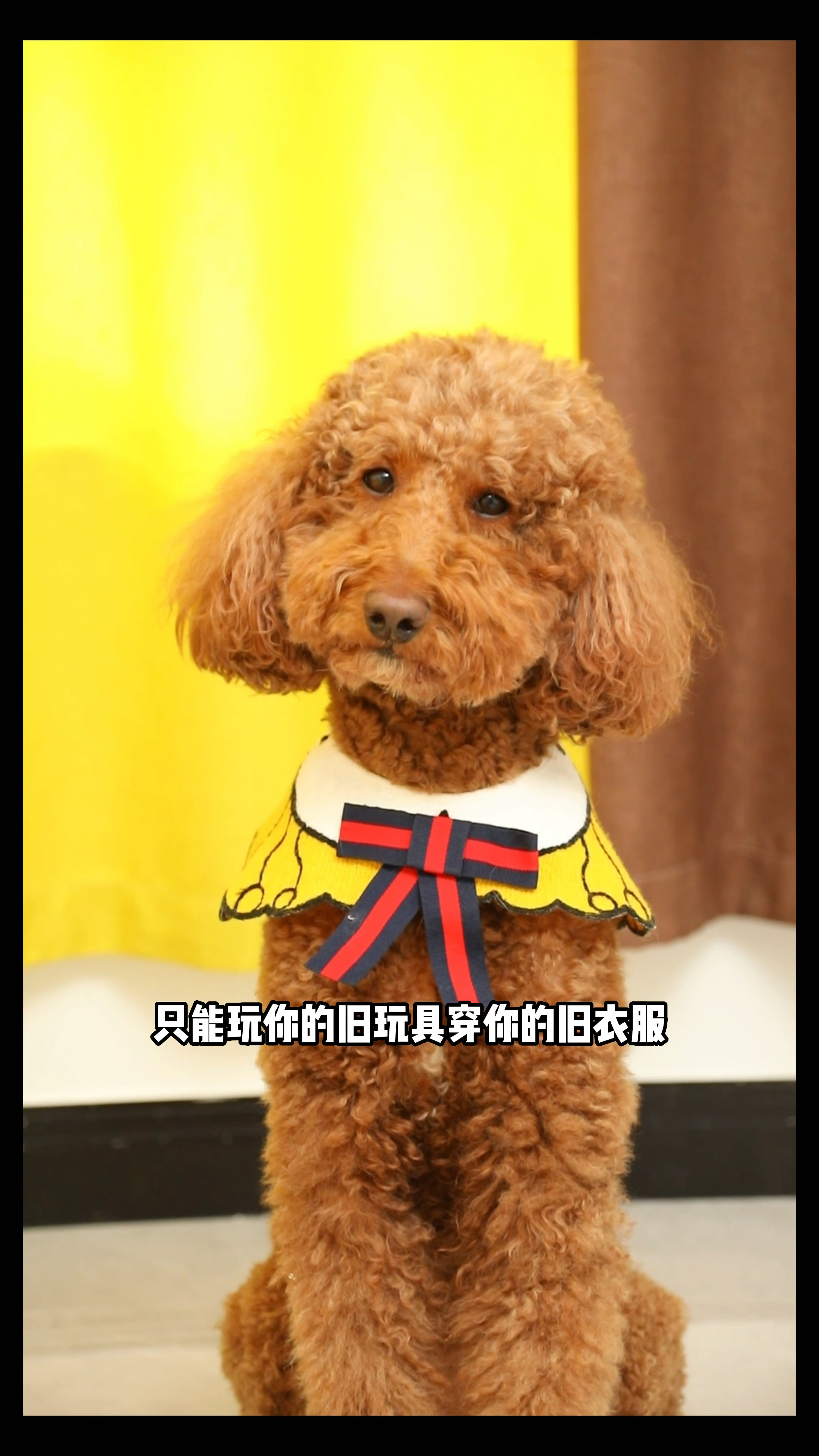 coco奶茶身份互换