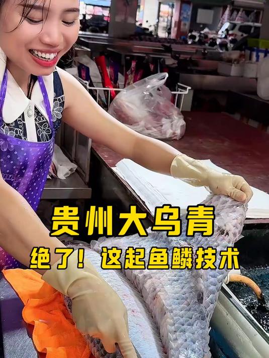 贵州大乌青 绝了这起鱼鳞技术