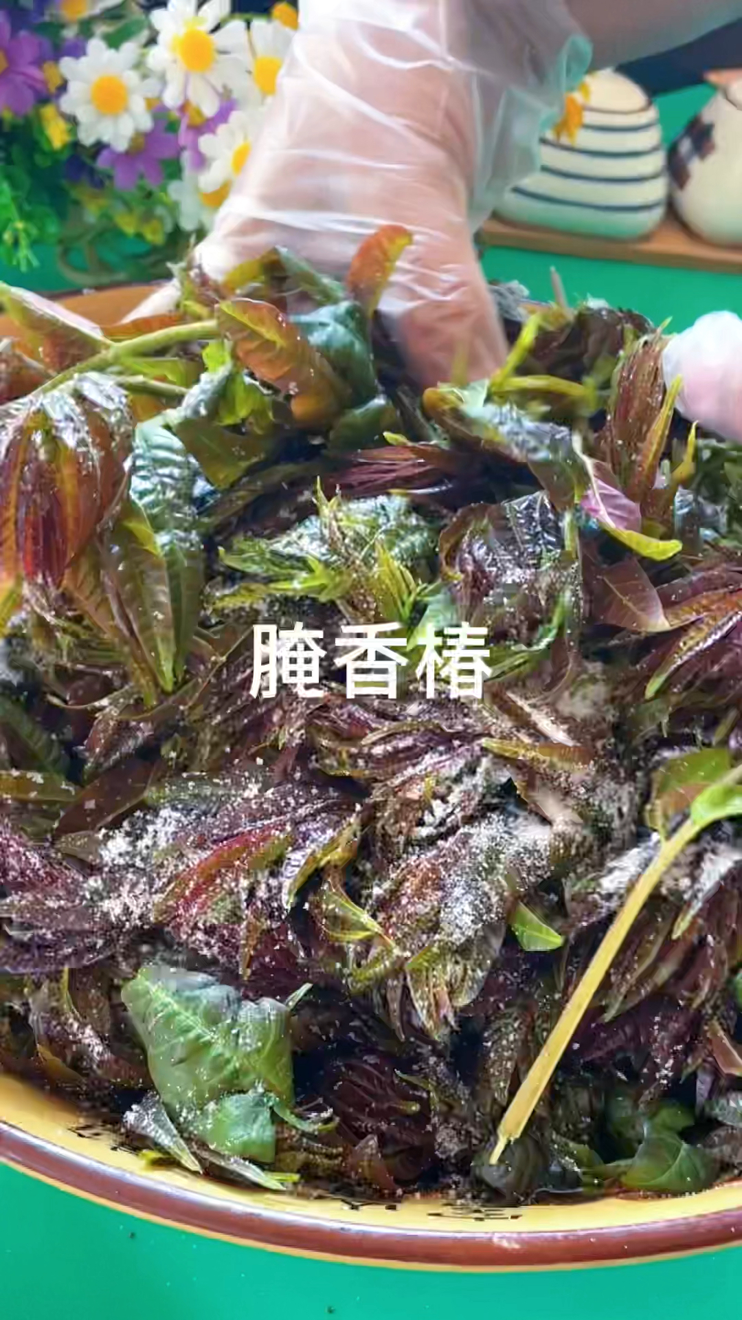 吃不完的香椿用这个方法开腌制,放一年也不坏,想吃随时拿出来跟新摘的一样