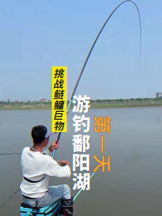 全国抽鲢鲢鳙还得看江西，这鱼情暴不暴躁你们说了算#钓鱼佬#