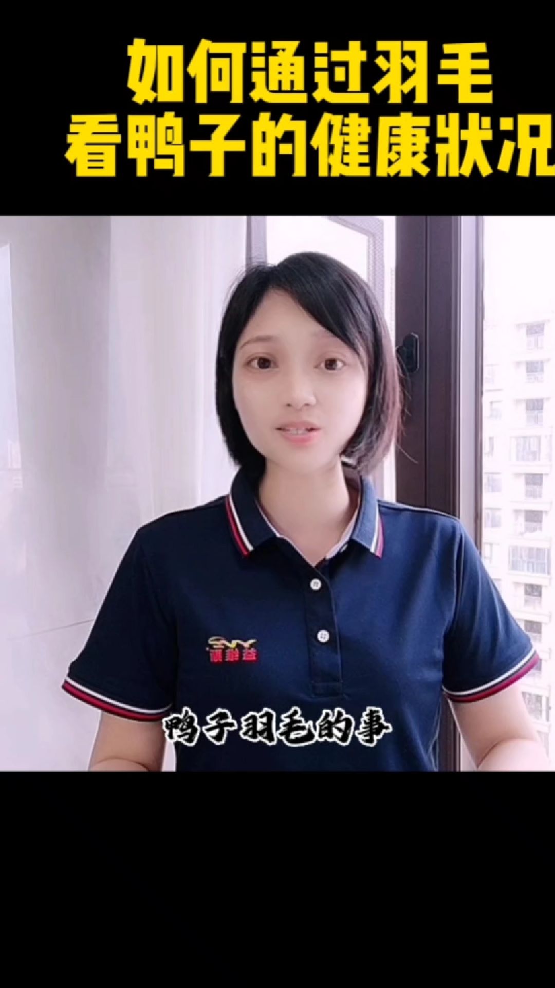 如何通过羽毛看鸭子的健康状况?