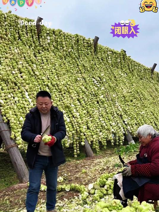 手工榨菜片脆嫩爽口下稀饭或者配馒头都很赞！